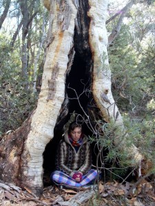 VLUU L100, M100  / Samsung L100, M100